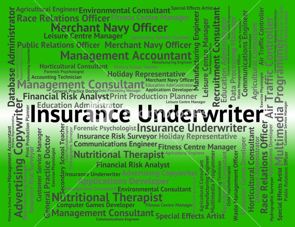 Insurance Underwriter